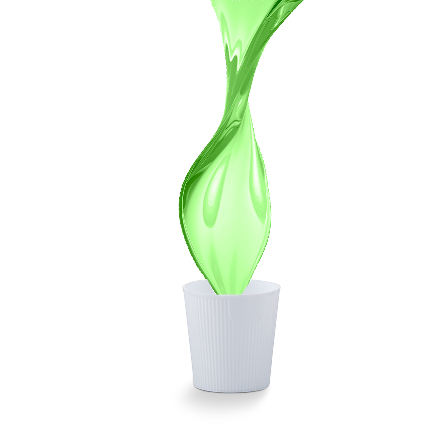 Denta Rinse Menthe Anticaries Flurorure Anticavity Mint Fluoride Solution Liquid